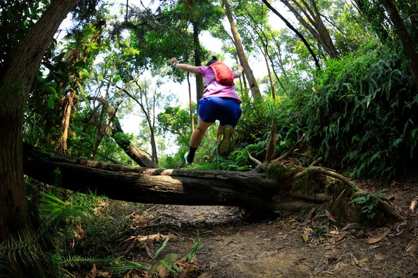 Ultramarathon Pista Fondo Corridore Esecuzione Estate Foresta Pluviale Tropicale — Foto Stock