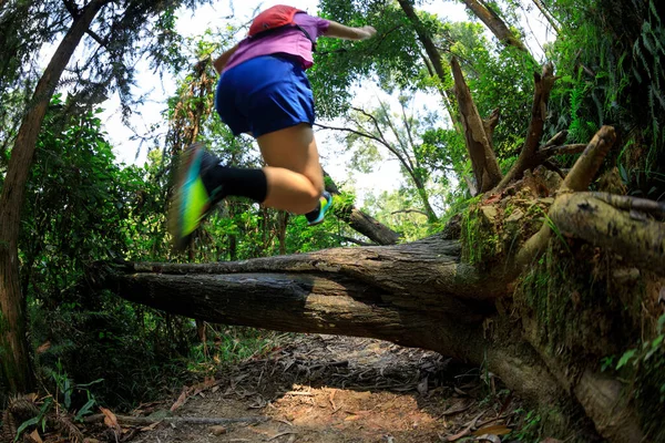 Ultramarathon Pista Fondo Corridore Esecuzione Estate Foresta Pluviale Tropicale — Foto Stock