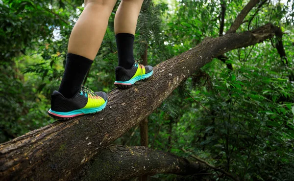 Sportswoman Cross Country Stezka Běžec Nohy Probuzení Kmeni Stromu Lese — Stock fotografie