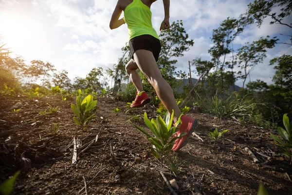 Mujer Trail Runner Running Sunrise Tropical Forest Mountain Top — Foto de Stock