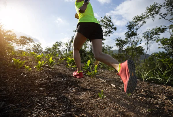 Vrouw Trail Runner Lopen Naar Zonsopgang Tropisch Bos Bergtop — Stockfoto