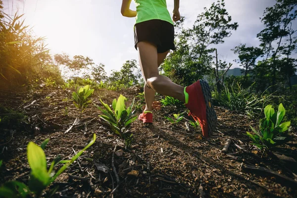 Mujer Trail Runner Running Sunrise Tropical Forest Mountain Top —  Fotos de Stock