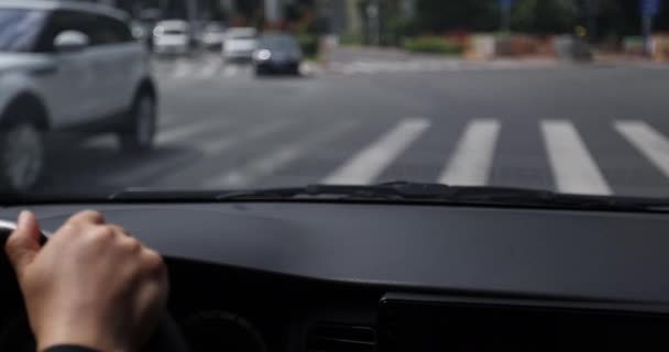 Kobieta Kierownicy Wnętrze Samochodu — Wideo stockowe