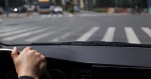 Vrouw Handen Het Stuur Auto Interieur — Stockvideo