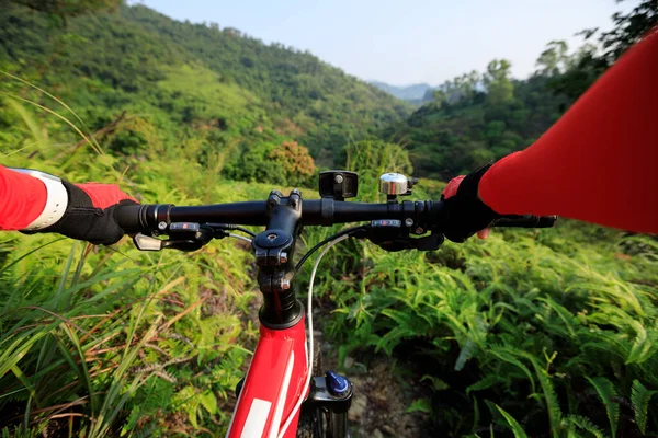 Equitazione Mountain Bike Sul Sentiero Della Foresta Pluviale Estiva — Foto Stock