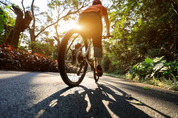 晴れた日には公園の自転車道をサイクリングする女性 — ストック写真