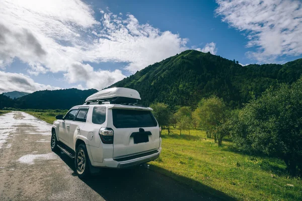 Conduire Une Voiture Hors Route Dans Les Montagnes Forêt Haute — Photo