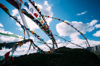 Çayırlarda Tibet bayrakları