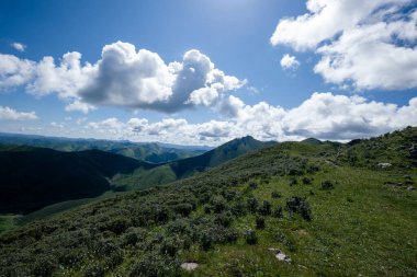 Mavi gökyüzünün altındaki yüksek rakımlı dağ manzarası