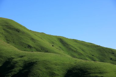 Yüksek irtifa çayırlık dağ manzarası