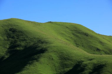 Yüksek irtifa çayırlık dağ manzarası