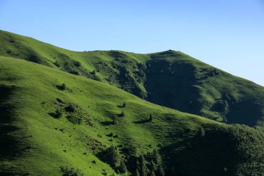 Yüksek irtifa çayırlık dağ manzarası