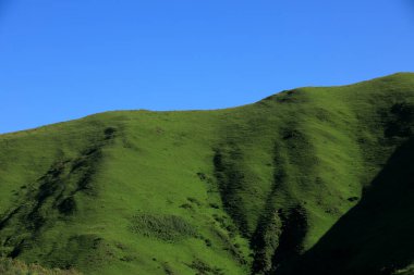 Yüksek irtifa çayırlık dağ manzarası