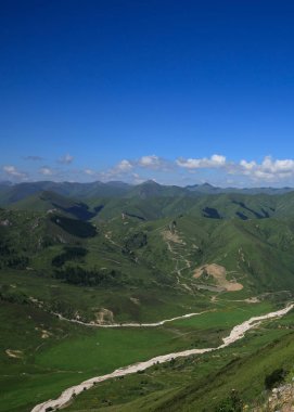 Yüksek irtifa çayırlık dağ manzarası