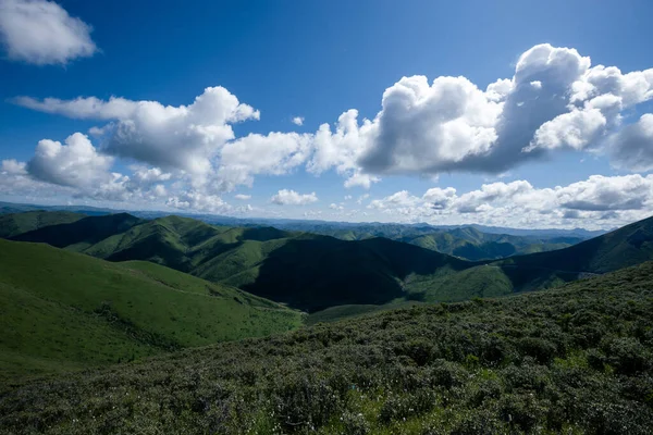 Mavi gökyüzünün altındaki yüksek rakımlı dağ manzarası