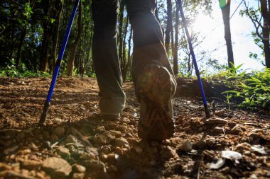Yaz ormanlarında yürüyüş yapan bir kadın.