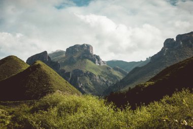 Yüksek irtifa çayırlık dağ manzarası