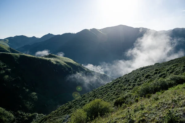 Arising Nebbia Natura Nebbia Montagne Magia Alta Quota Alba Paesaggio — Foto Stock