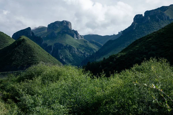 Yüksek irtifa çayırlık dağ manzarası