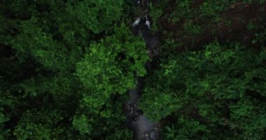 Tropikal ormandaki güzel ormanın ve küçük nehrin havadan görünüşü