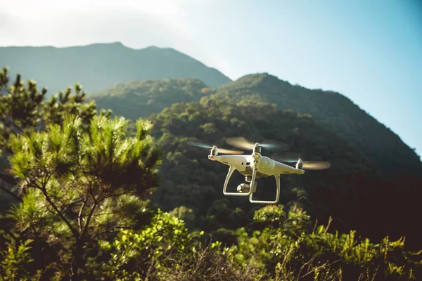 Yaz Ormanlarında Uçan Kameralı Beyaz Dron — Stok fotoğraf