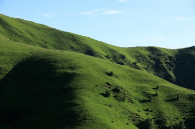 Yüksek irtifa çayırlık dağ manzarası