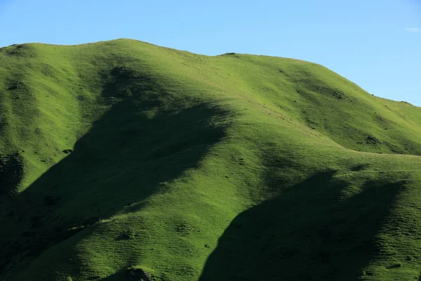 Yüksek irtifa çayırlık dağ manzarası
