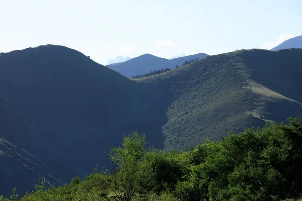Vysokohorská Krajina Pastvinách — Stock fotografie