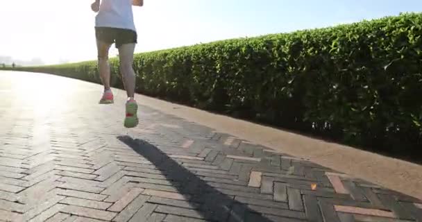 Femeie care aleargă pe strada oraşului — Videoclip de stoc