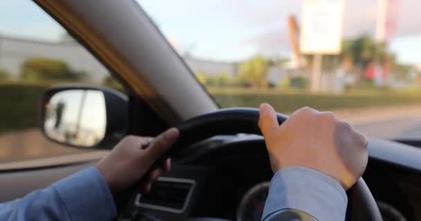 Manos Femeninas Volante Concepto Conducción Del Coche — Vídeo de stock