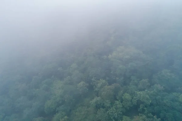 Veduta Aerea Della Foresta Nebbiosa Paesaggio Montano — Foto Stock