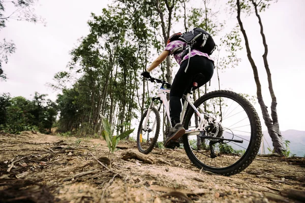 Bisikletli Bir Kadın Dağın Tepesinde Orman Yolunda Bisiklet Sürüyor — Stok fotoğraf