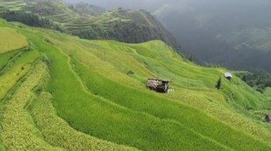 Çin 'deki teras pirinç tarlasının havadan görünüşü