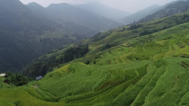 Vista Aérea Campo Arroz Terraço China — Vídeo de Stock