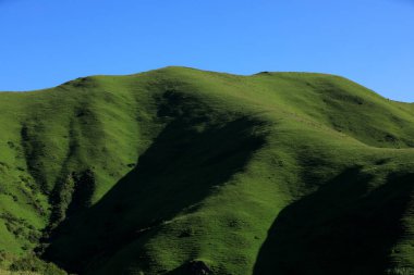 Yüksek irtifa çayırlık dağ manzarası