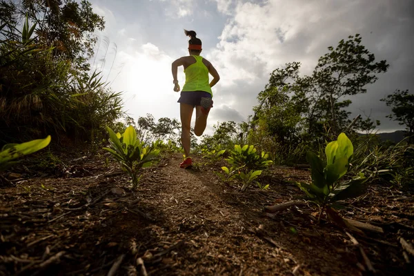Corredor Senderos Mujer Corriendo Cima Montaña Bosque — Foto de Stock