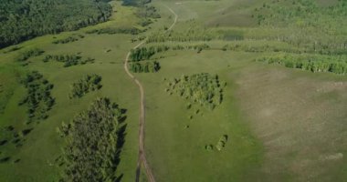 Ağaçlarla çevrili dağ manzarası