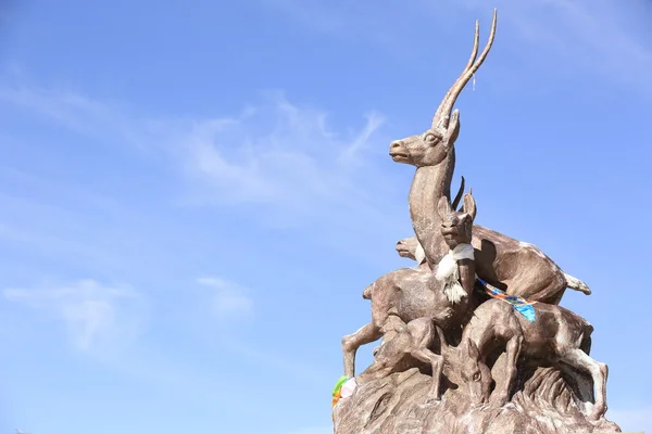 Antilope tibetana — Foto Stock