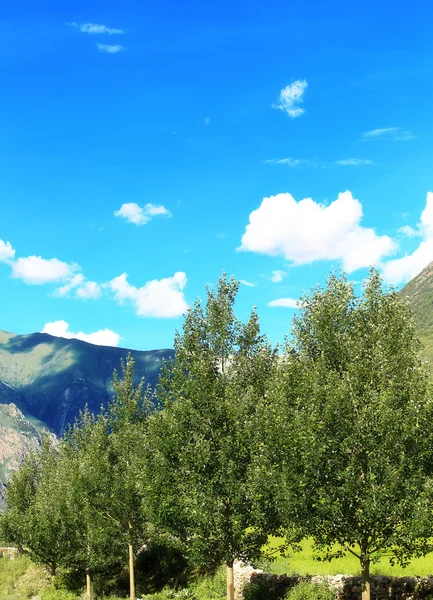 Landscape in tibet,china — Stock Photo, Image