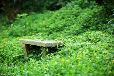 Orman Çim taş tezgah