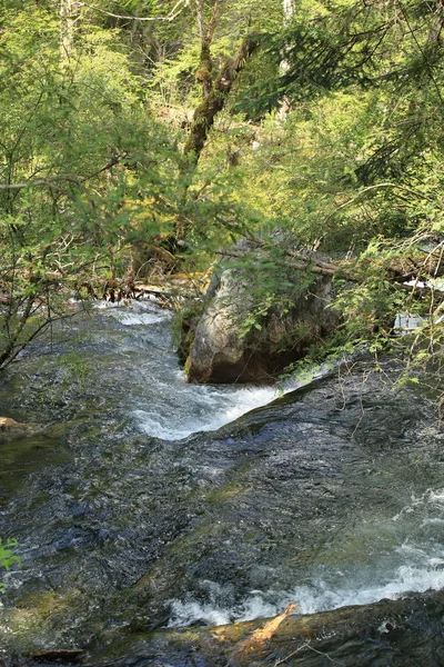 Jiuzhaigou Milli Parkı içinde çini, şelale — Stok fotoğraf