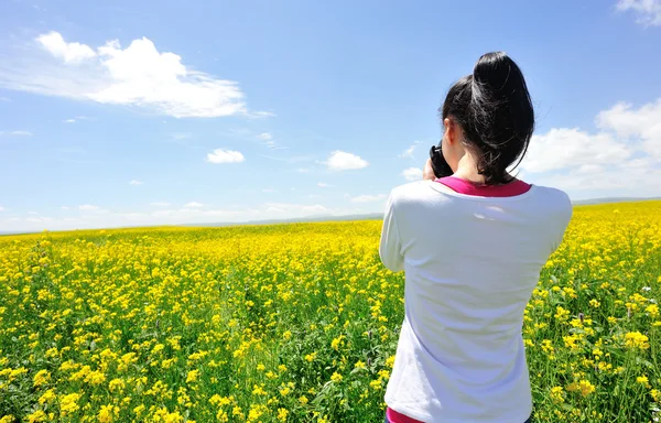 Woman photographer taking photo in cole flower field — Stock Photo, Image