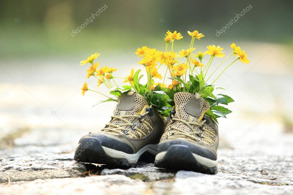 Hiking boots with yellow wild flowers