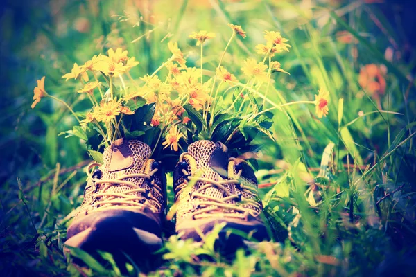 Wandelen laars met gele wilde bloemen — Stockfoto