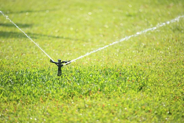 緑の芝生に水をまくスプリンクラー — ストック写真