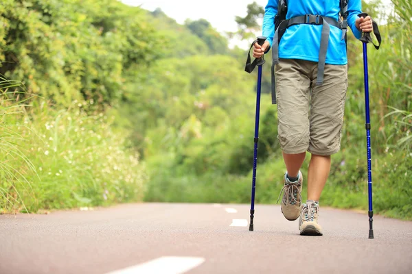 Woman hiker hiking on forest trail — Stock Photo, Image