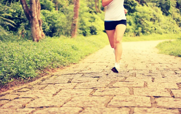 Mujer corriendo en el sendero forestal — Foto de Stock