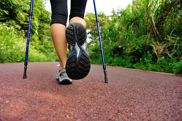 Woman hiker hiking on forest trail — Stock Photo, Image