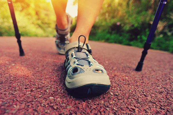 Wanderin wandert auf Waldweg — Stockfoto