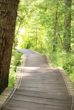 Hiking trail on jiuzhaigou national park clipart